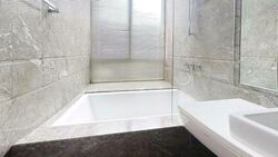 Parkview Eclat (D10), Condominium #539673831